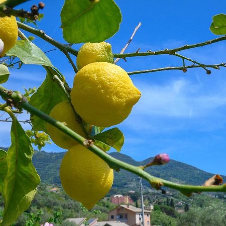 הוילה מונטרוסו אל מארה Casa Limoni מראה חיצוני תמונה