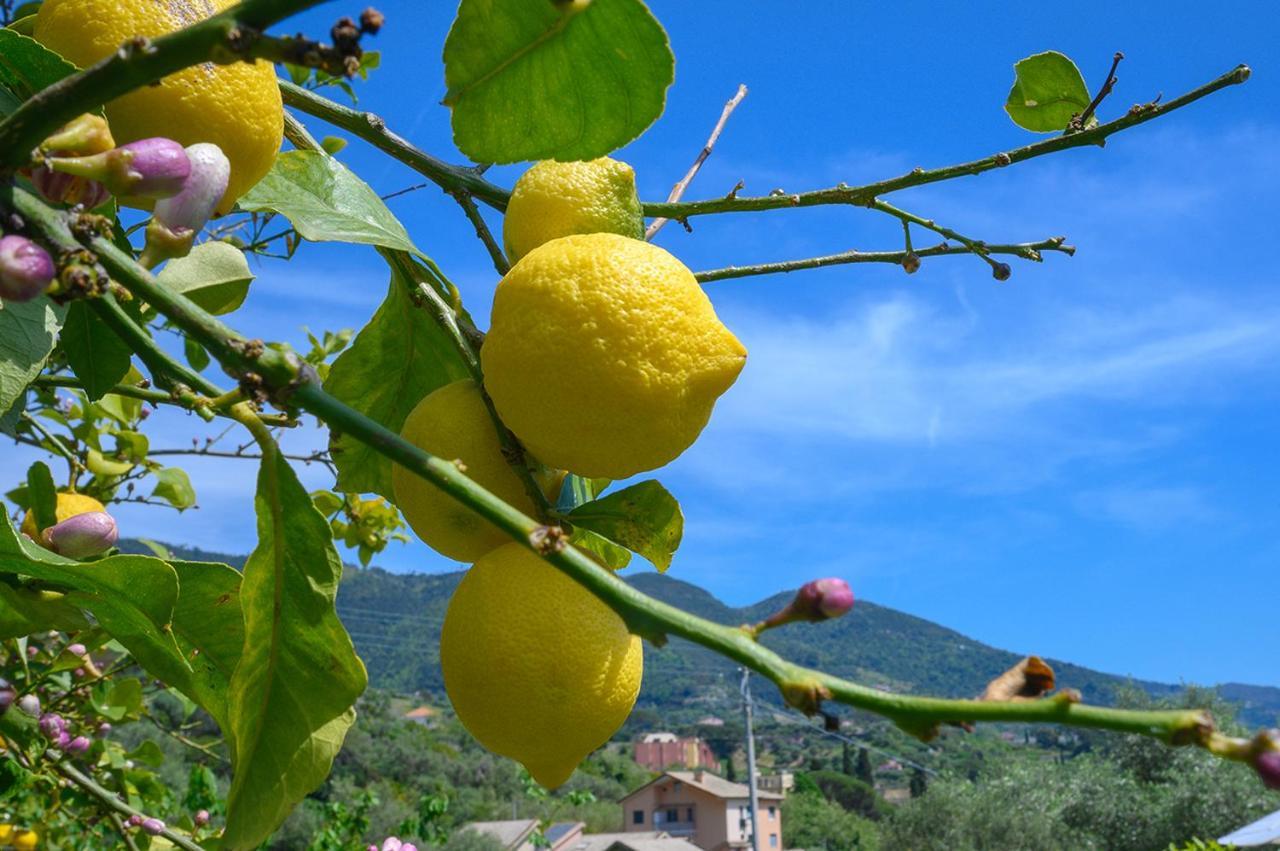 הוילה מונטרוסו אל מארה Casa Limoni מראה חיצוני תמונה