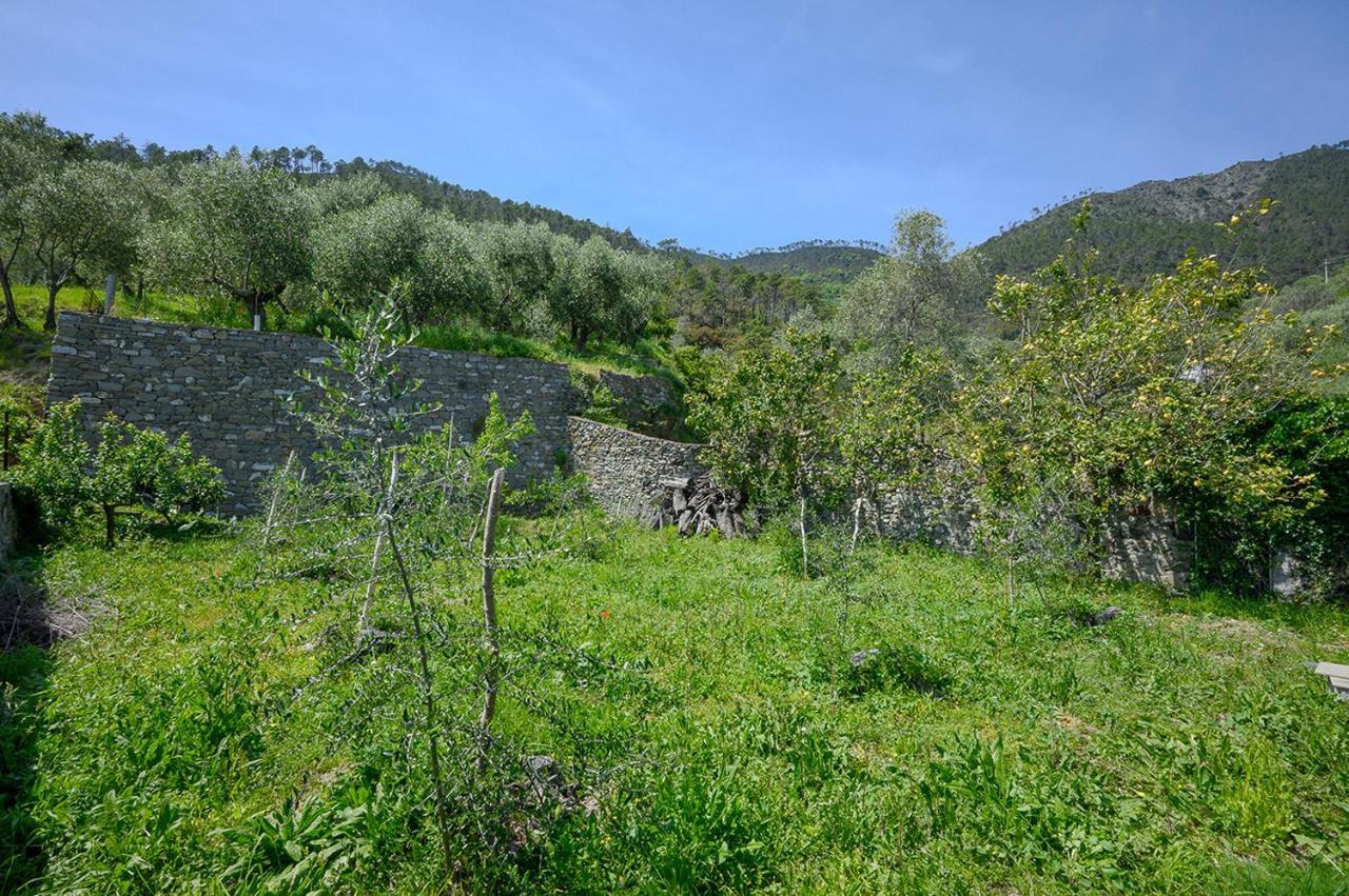 הוילה מונטרוסו אל מארה Casa Limoni מראה חיצוני תמונה